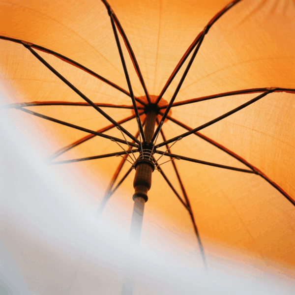 Growing agile enthusiasm and better transparency and communication